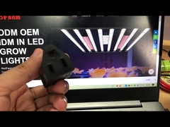 110V swtich 240V USA plug