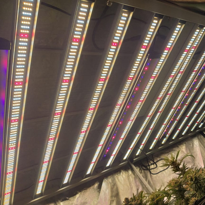 Luce progressiva Samsung LM301H Osram 660nm 730nm di orticoltura LED di RedFarm 1500W