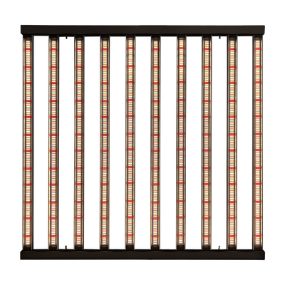 crescita dell'interno della luce progressiva di orticoltura LED di 1200W 10Bars Samsung LM301H