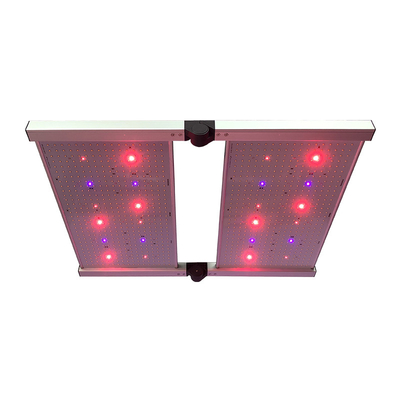 Luci progressive Samsung LM301H del bordo LED di RedFarm 480W 3500K Quantum