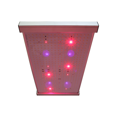 Luce progressiva di Quantum 2x2 LED