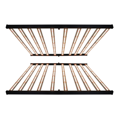 Luce progressiva completa Samsung Osram di spettro 1000W LED di RedFarm IP65